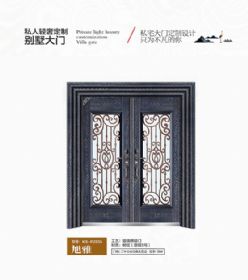 2021康神大門KS-P2535旭雅