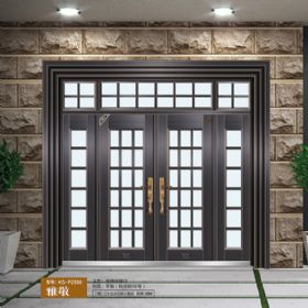 2021康神大門KS-P2538雅敬