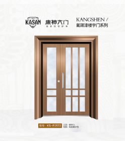 2021康神大門KS-P2572