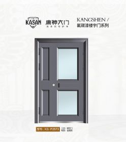 2021康神大門KS-P2573