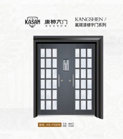 2021康神大門KS-P2576